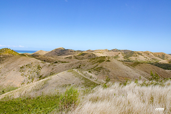Shell Pacific Mega Rando 2020