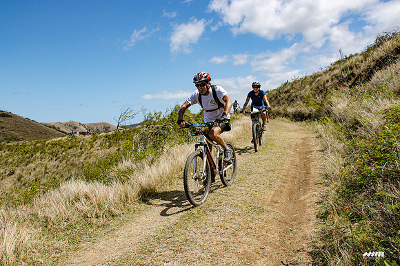 Shell Pacific Mega Rando 2020
