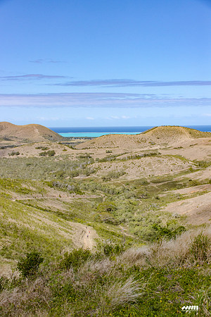 Shell Pacific Mega Rando 2020