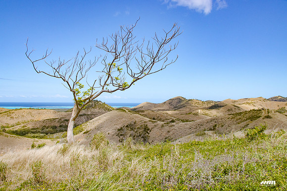 Shell Pacific Mega Rando 2020