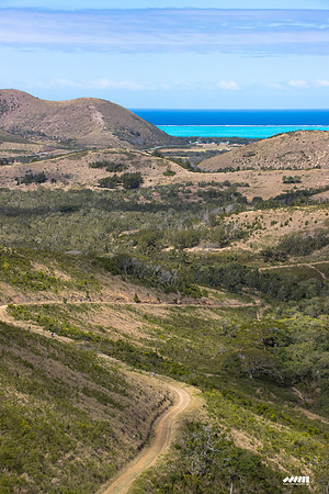 Shell Pacific Mega Rando 2020