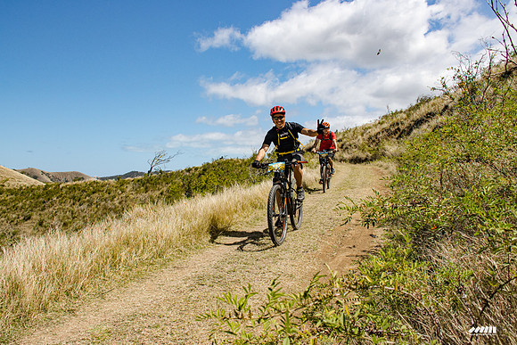 Shell Pacific Mega Rando 2020