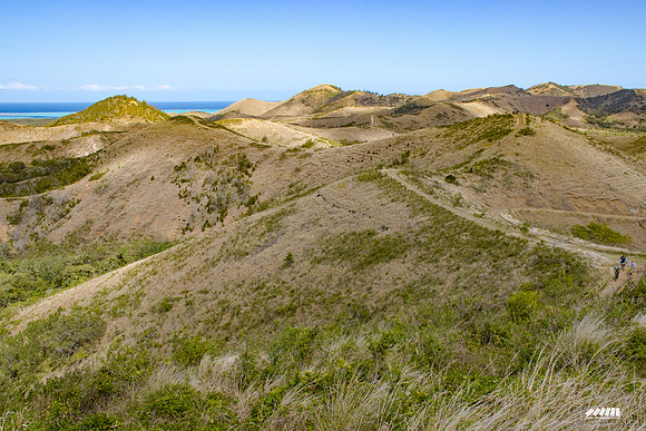 Shell Pacific Mega Rando 2020