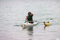 THULE TROPHY