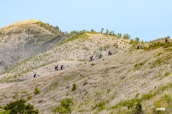 Shell Pacific Mega Rando 2020