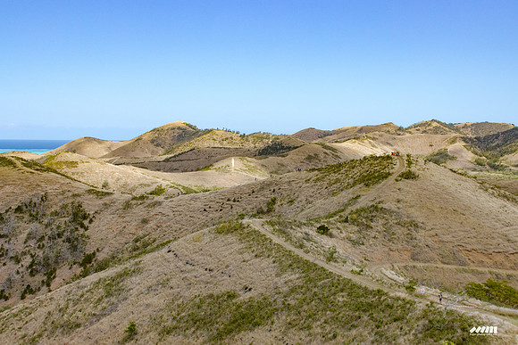 Shell Pacific Mega Rando 2020