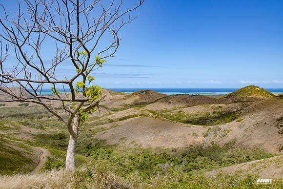 Shell Pacific Mega Rando 2020