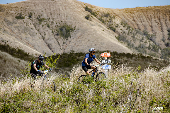 Shell Pacific Mega Rando 2020