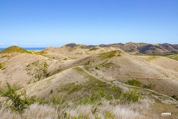Shell Pacific Mega Rando 2020