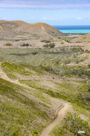 Shell Pacific Mega Rando 2020