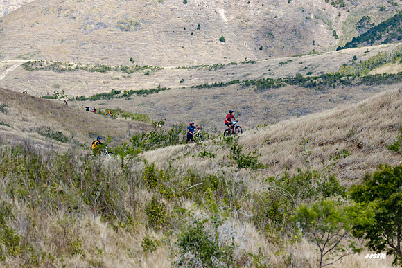 Shell Pacific Mega Rando 2020