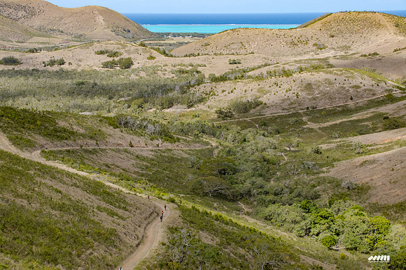 Shell Pacific Mega Rando 2020
