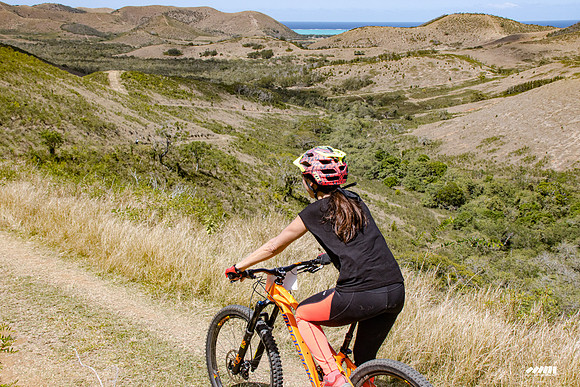Shell Pacific Mega Rando 2020