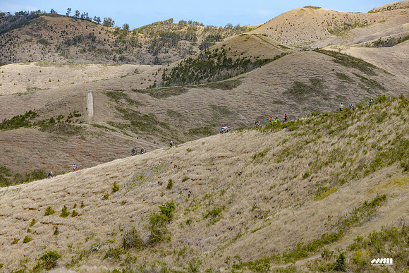 Shell Pacific Mega Rando 2020