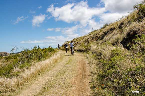 Shell Pacific Mega Rando 2020