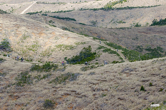 Shell Pacific Mega Rando 2020