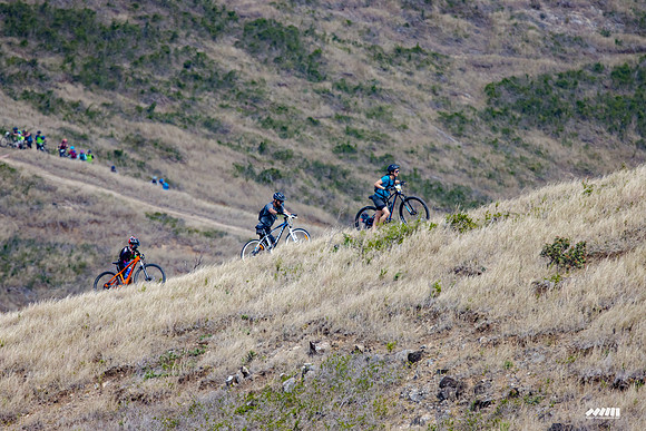 Shell Pacific Mega Rando 2020