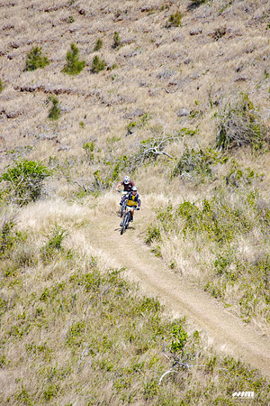 Shell Pacific Mega Rando 2020