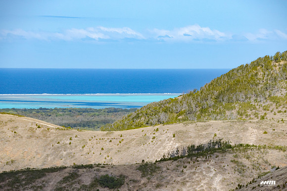 Shell Pacific Mega Rando 2020