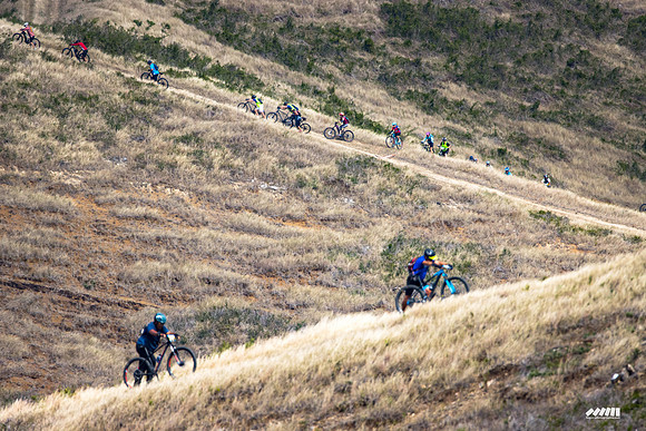 Shell Pacific Mega Rando 2020