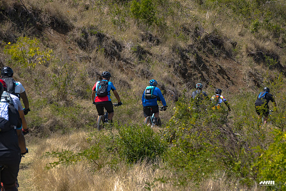 Shell Pacific Mega Rando 2020