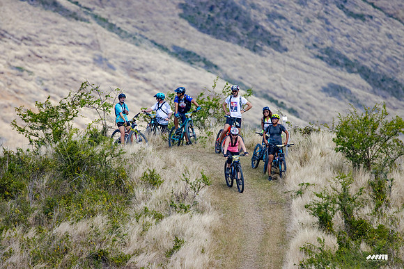 Shell Pacific Mega Rando 2020