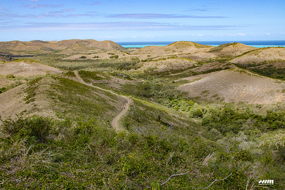 Shell Pacific Mega Rando 2020